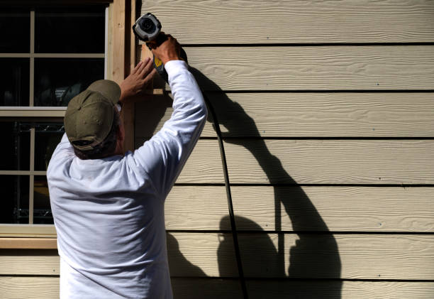 Affordable Siding Repair and Maintenance Services in Port Huron, MI